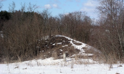 Palapainio pylimas is P puses 2006-03-20.jpg