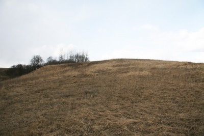 Paparteliu piliakalnis 2009.jpg