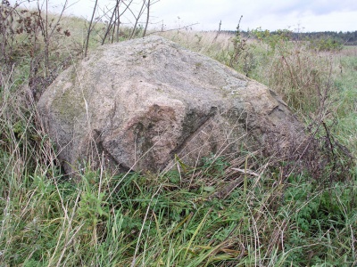 Ringailiu alkakmenis.JPG