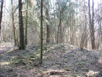 Triliskiu pilkapynas.JPG