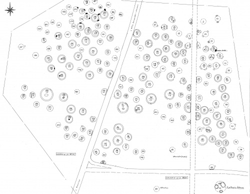 Atmainu Darsuniskio pilkapyno situacijos planas.jpg